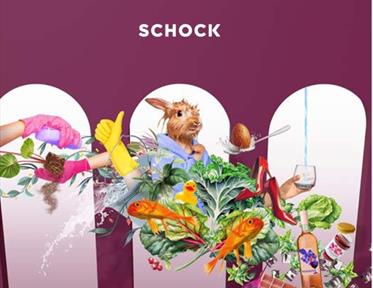 Schock Sinks & Taps